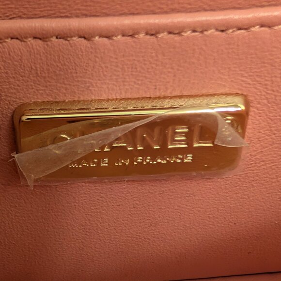 Chanel Salmon Pink Mini Rectangular Classic Flap Bag in Exotic Leather - Picture 12 of 16